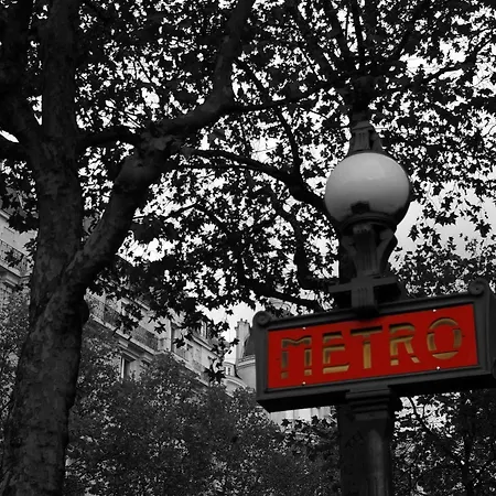 Wallace - Orso Paris