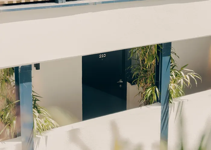 Wallace Paris, A Member Of Design Paris